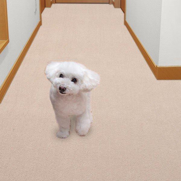 【未使用】サンコー　カーペット　犬　滑り止めマット　セット　廊下敷き サンコー 廊下用 カーペット ロング マット ペット 60×300cm