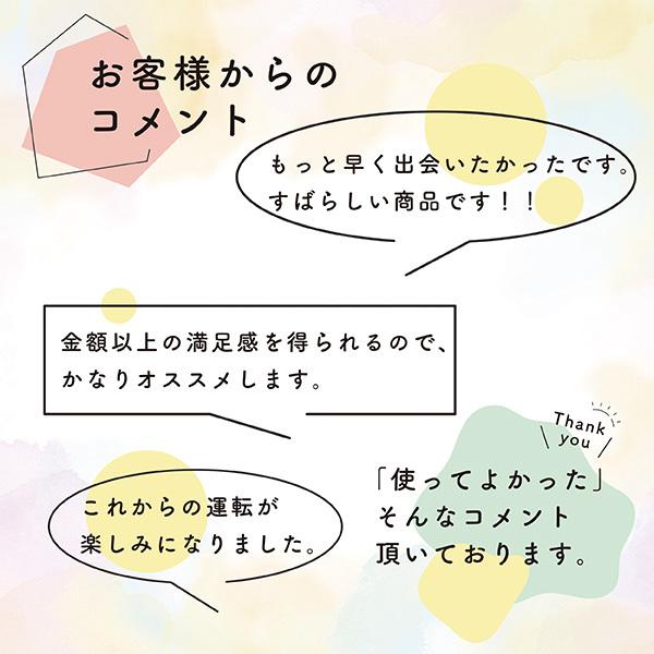 サンバイザー 車用 偏光 カーバイザー サンシェイド バイザー ポラスカイシールド ハイト軽 M200  Polasky Sealed M200 (200x300mm) 送料無料 日本製 高品質 | ブランド登録なし | 13