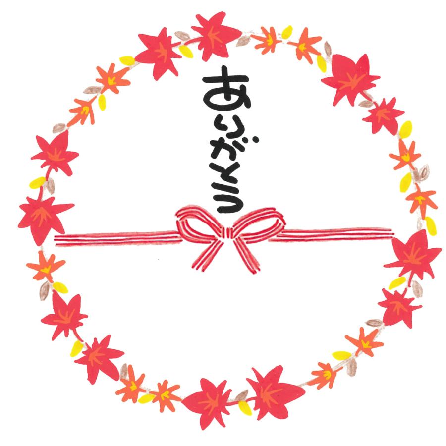 シールのし ありがとう ポップ体 1シート24枚入 選べる花枠 メッセージシール S1003 三好コンスルyahoo 店 通販 Yahoo ショッピング