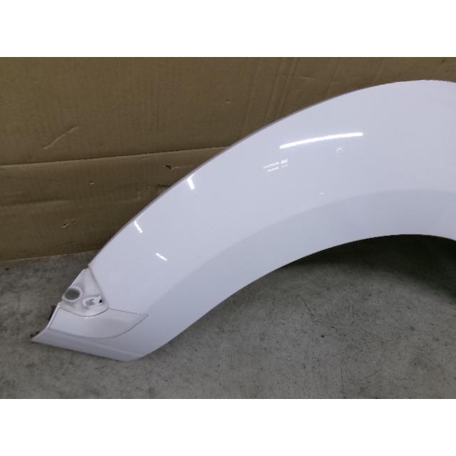 ザ・ビートル DBA-16CBZ 左後フェンダー 370908 : サンコーパーツ