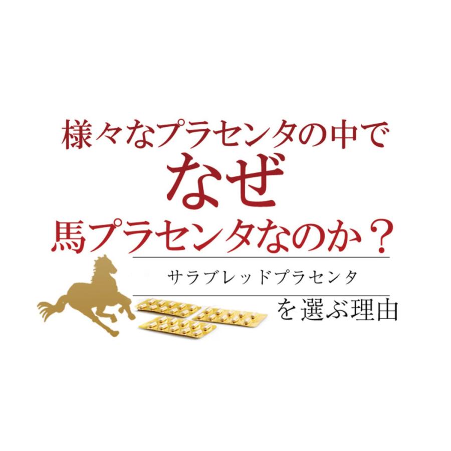 サラブレッドプラセンタ |  | 02