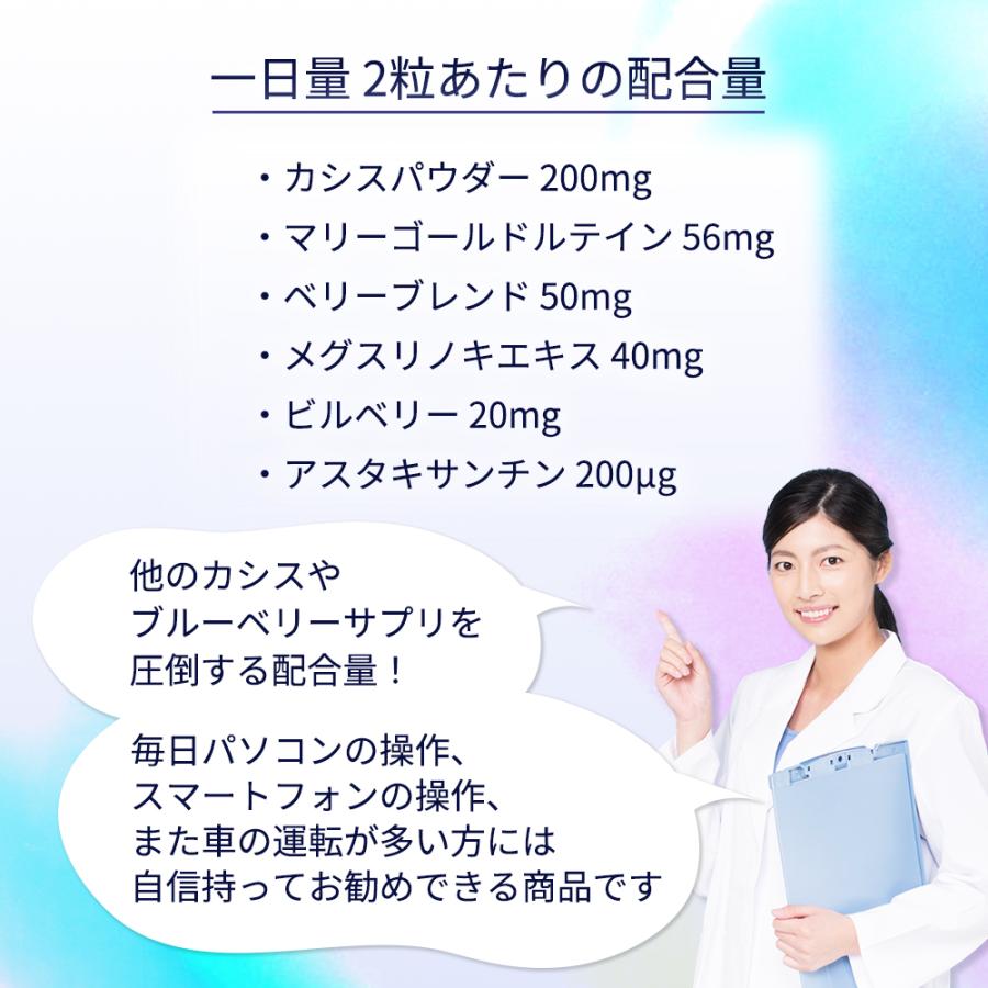 カシスベリー+ルテイン 90日分【3袋セット】 2粒にカシス200mg