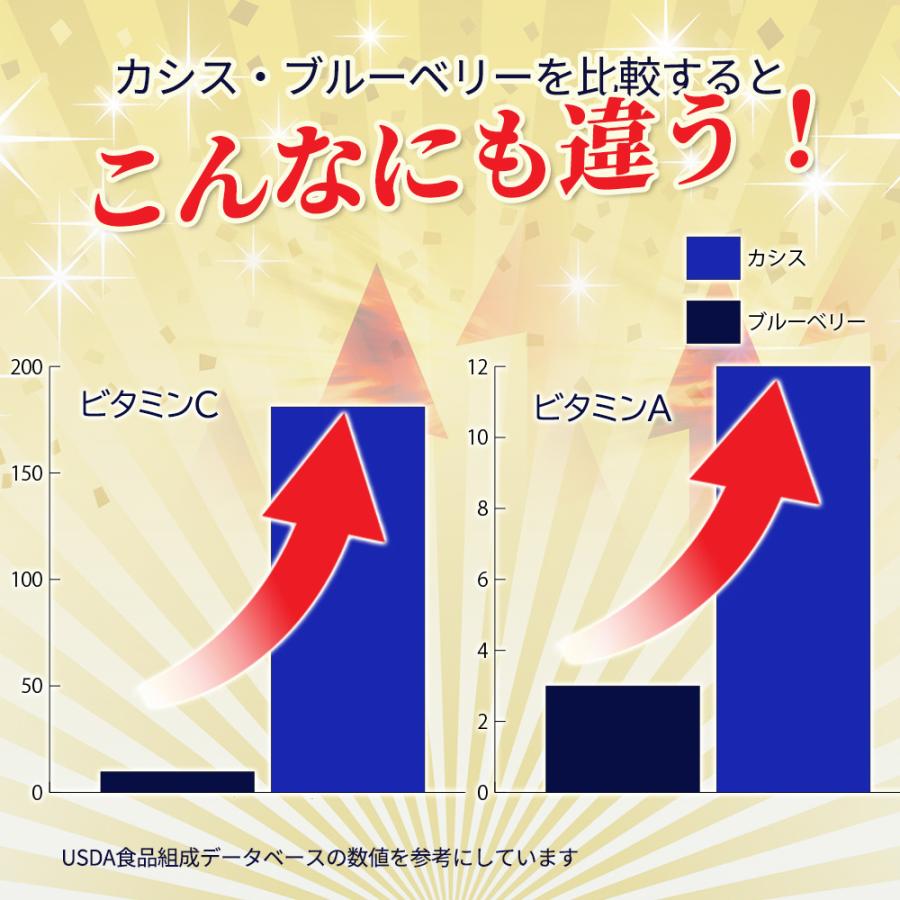 カシスベリー+ルテイン 90日分【3袋セット】 2粒にカシス200mg
