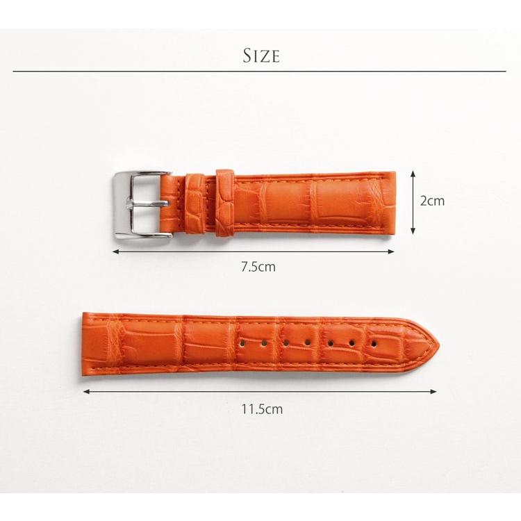 腕時計 付け替え用 ベルト 本革 メンズ アリゲーター 鰐皮 20mm 男