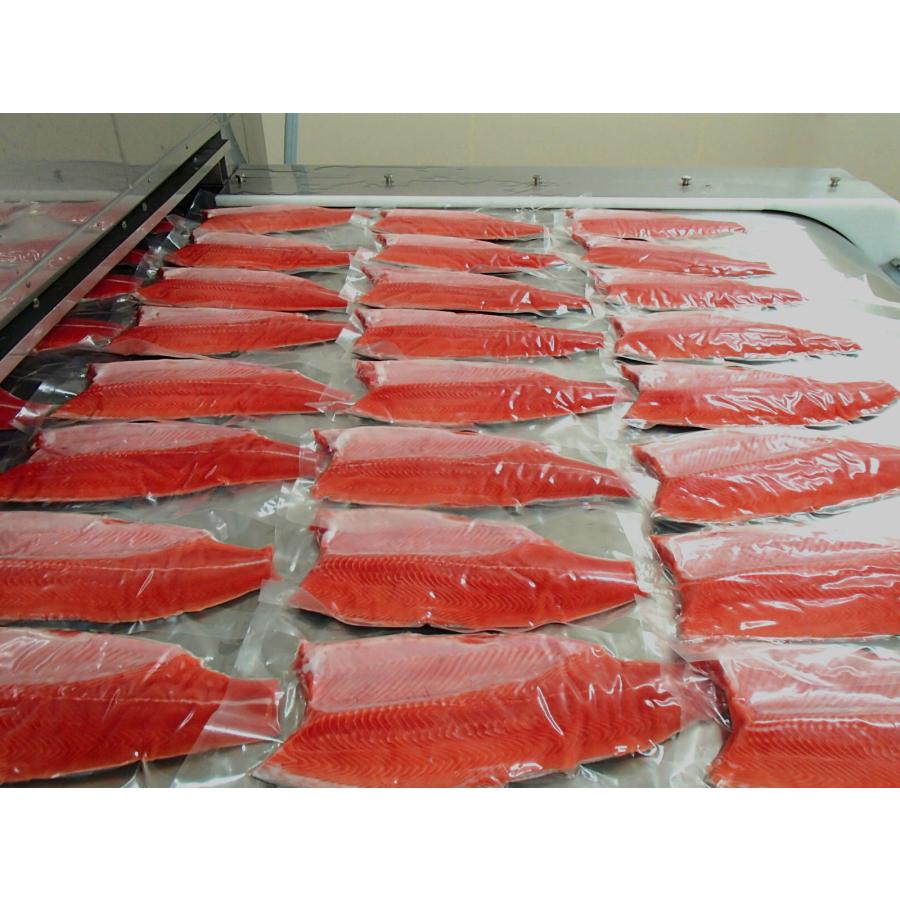 【れい】GRANDS サーモン3袋 チキン2袋 スーパーサーモン・宮城県産生冷銀鮭フィレ(切身用)2枚入 約2kg