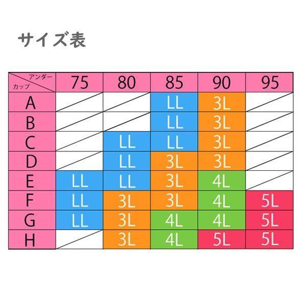 大きいサイズ ノンワイヤー ブラセット 福袋 LL 3L 4L 5L｜sanmaru30｜08