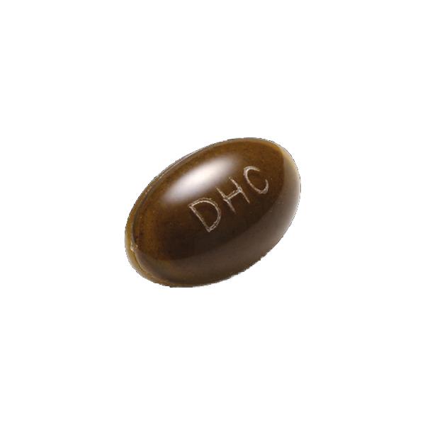 DHC ニュースリム20日分80粒入 送料無料平日14時まで即日メール便出荷