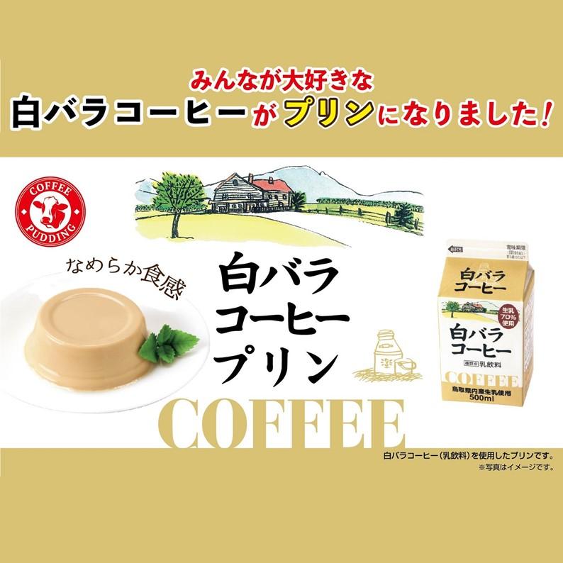 白バラコーヒープリン(2個)】白バラ牛乳 鳥取 山陰 珈琲 白バラ