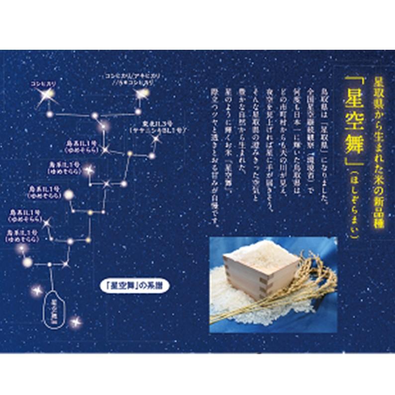 星空舞キューブ(2合)】岩崎米穀 山陰 鳥取 星取県 星空舞 キューブ 2合