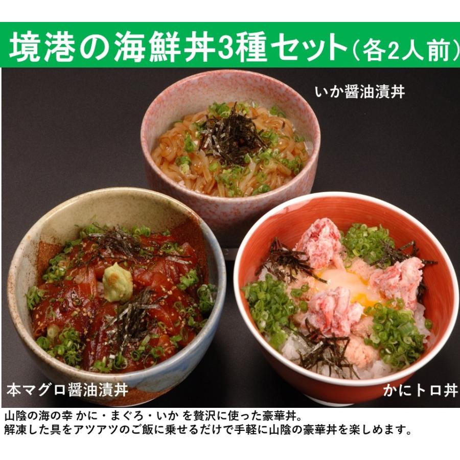 境港の海鮮丼3種セット 各2人前 海鮮 海鮮丼 かにトロ かに いか 本まぐろ まぐろ 送料無料 中浦食品 鳥取 ギフト 特産品 名物商品 プレゼント おみやげ楽市 通販 Paypayモール
