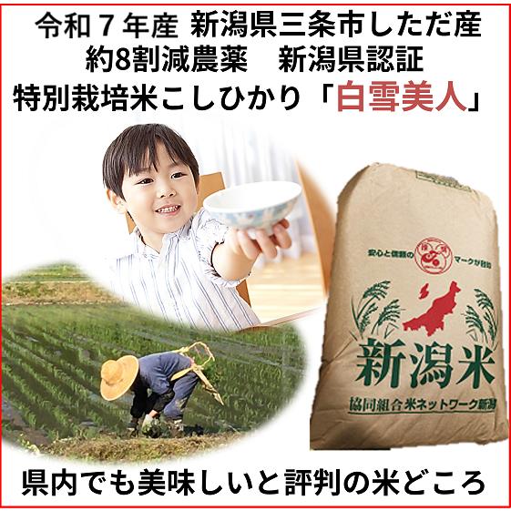 コシヒカリ 令和7年産新米 減農薬 新潟コシヒカリ玄米30kg 新潟