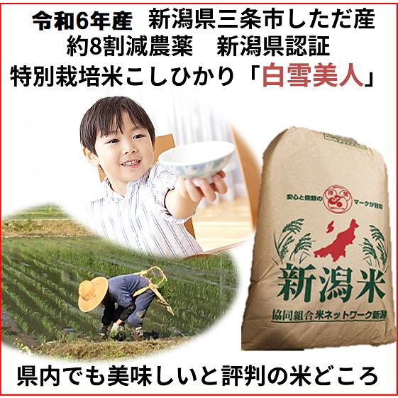 コシヒカリ 令和6年産新米 減農薬 新潟コシヒカリ玄米30kg 新潟 コシヒカリ 令和6年産新米 減農薬 新潟コシヒカリ玄米30kg 新潟