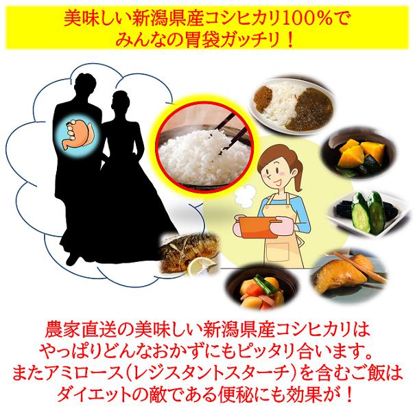 コシヒカリ 令和6年産新米 減農薬 新潟コシヒカリ玄米30kg 新潟 コシヒカリ 令和6年産新米 減農薬 新潟コシヒカリ玄米30kg 新潟