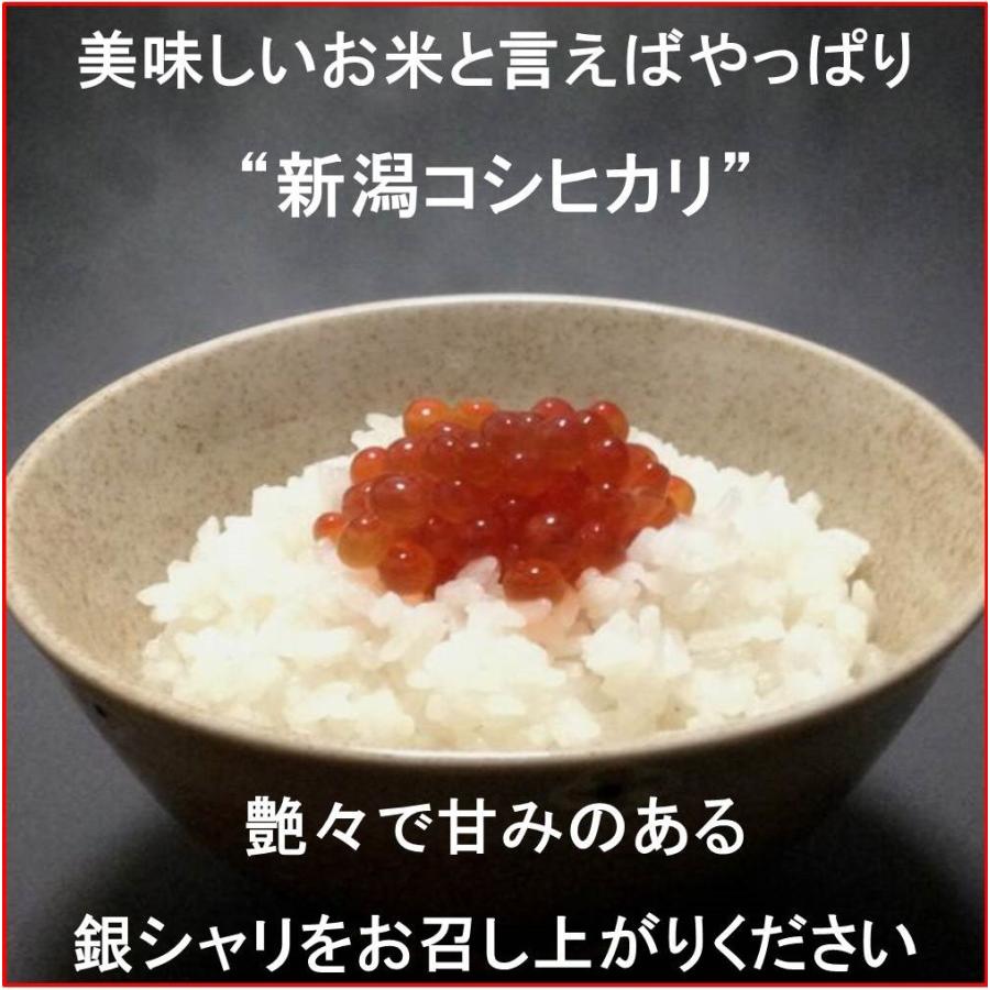 コシヒカリ 令和6年産新米 減農薬 新潟コシヒカリ玄米30kg 新潟 コシヒカリ 令和6年産新米 減農薬 新潟コシヒカリ玄米30kg 新潟