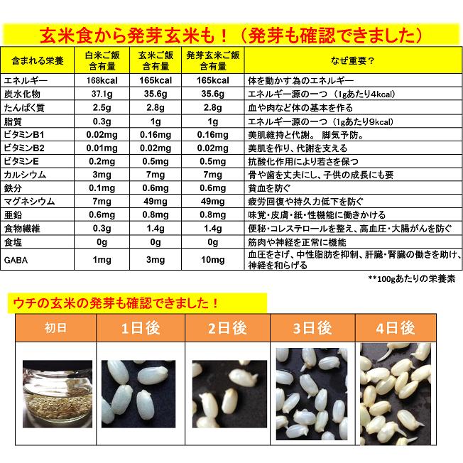 コシヒカリ 令和6年産新米 減農薬 新潟コシヒカリ玄米30kg 新潟 コシヒカリ 令和6年産新米 減農薬 新潟コシヒカリ玄米30kg 新潟
