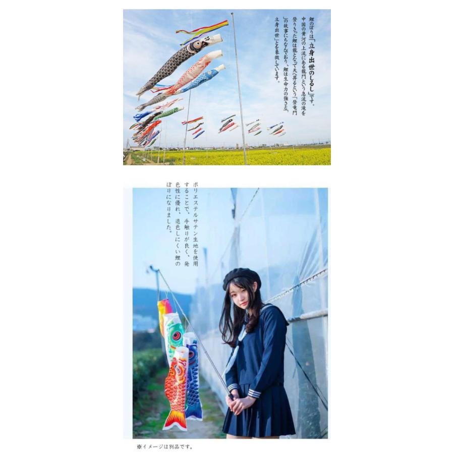 鯉のぼり こいのぼり 金箔鯉 1m 5点セット 真鯉 緋鯉 子鯉 ポール付き