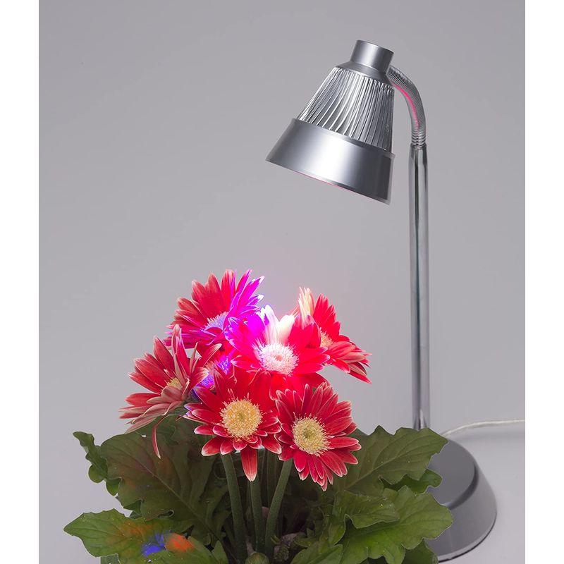BARREL 屋内で植物が育つ LED植物育成スタンドランプ - 4