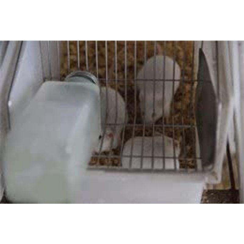 ストレスフリー養殖 冷凍ホッパーマウス ６cm 100匹 クール便
