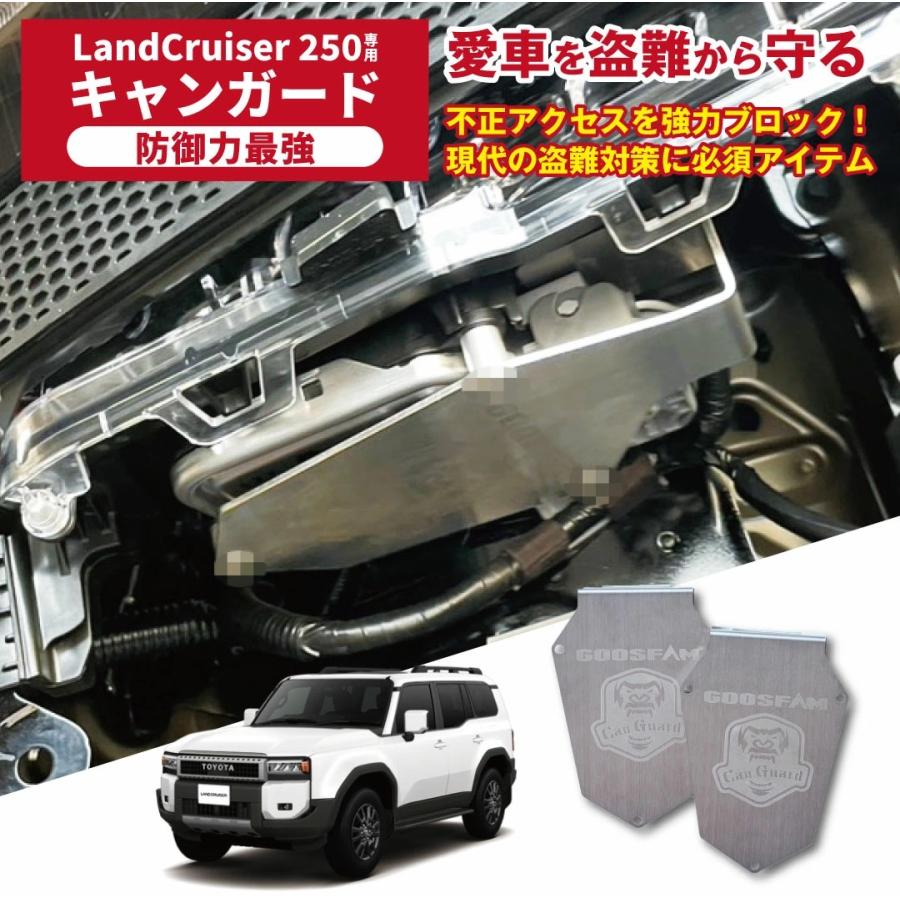 ランクル250専用 CANガード CANインベーダー対策 専用コネクタカバー