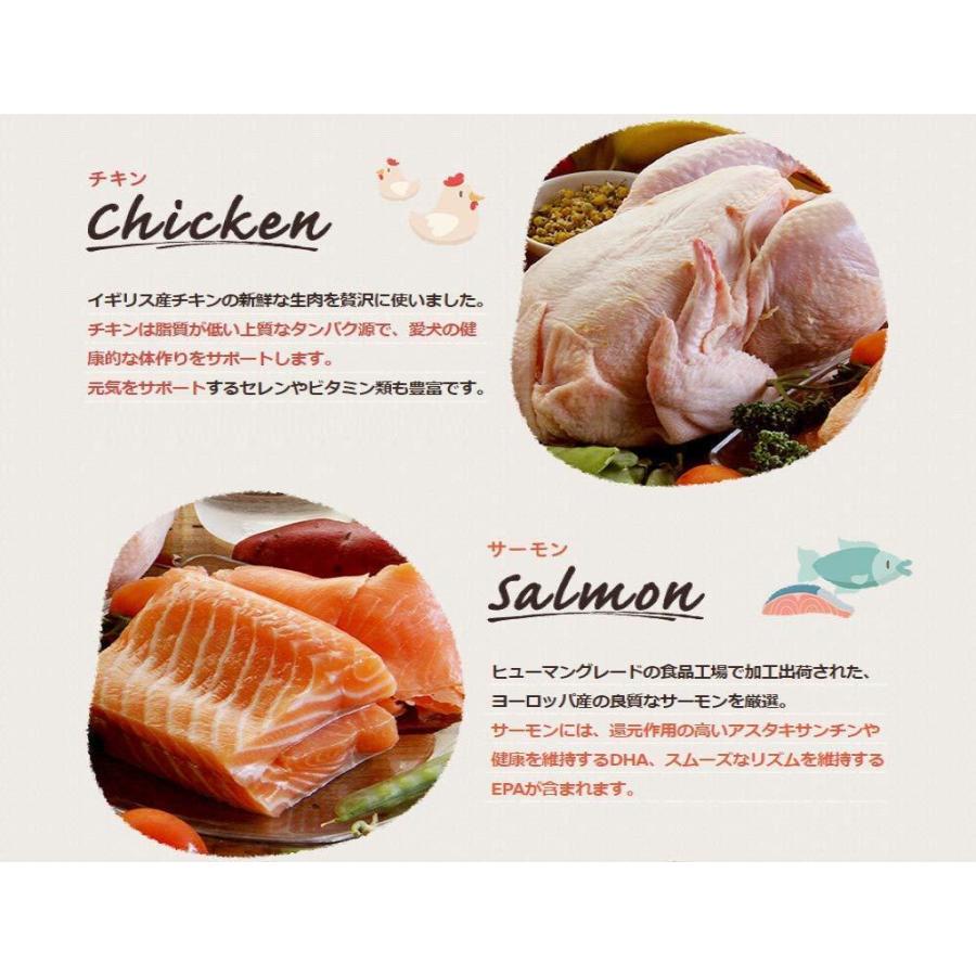 モグワン ドッグフード チキン サーモン 全犬種 全年齢 対応 1 8kg グレインフリー 穀物 香料 着色料 不使用 定番 Sn 2129 003 佐野商店 通販 Yahoo ショッピング