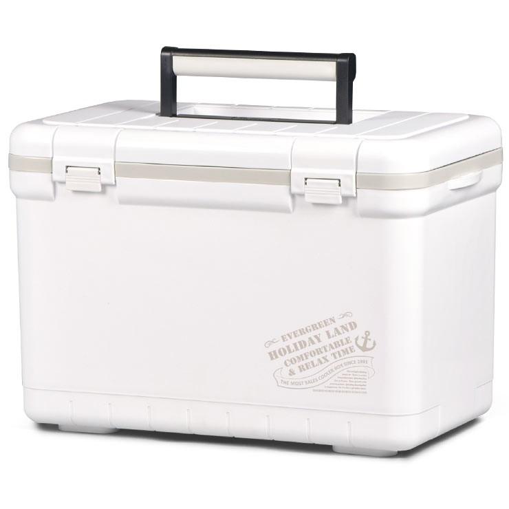 伸和(SHINWA) クーラーボックス ホリデーランドクーラー 22H（22L