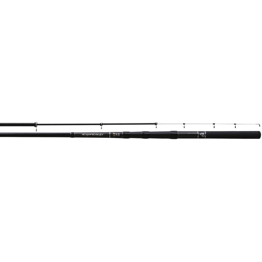 宇崎日新(NISSIN) 磯竿 KYOKUGI BX 3号 3.3m 【ISO】 : 釣具の三平