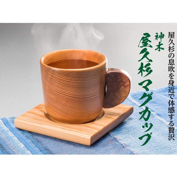 ZA-1071 神木 屋久杉マグカップ : 三宝堂Yahoo!店 - 通販 - Yahoo