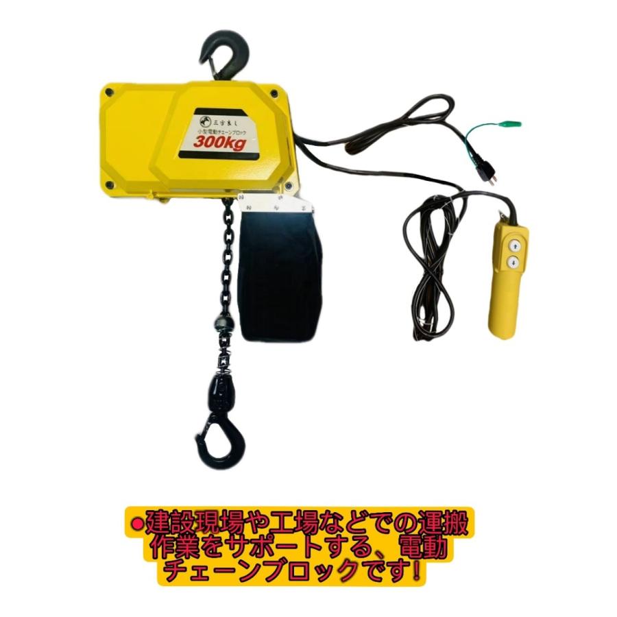 NEWTRY電動ウインチ電動ホイスト小型クレーン100V荷重500kg NEWTRY電動ウインチ電動ホイスト小型クレーン100V荷重500kg