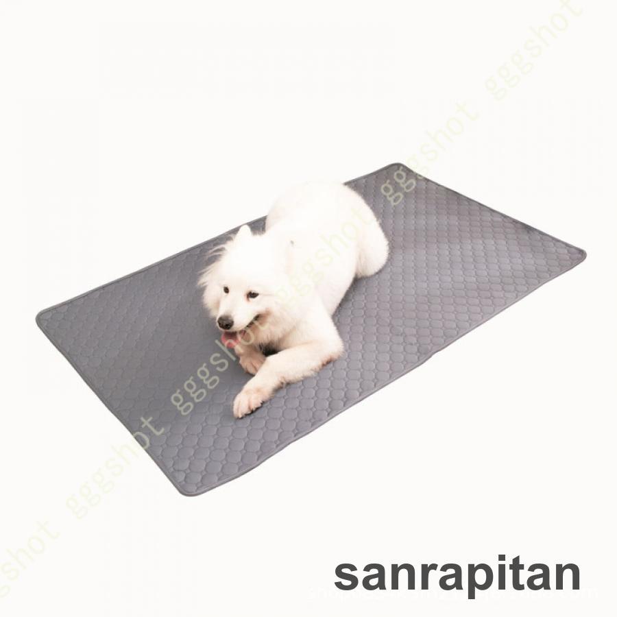 12000円相当 新品 2枚セット PAWSSE 大判サイズ防水マット 12000円相当 新品 2枚セット PAWSSE 大判サイズ防水マット