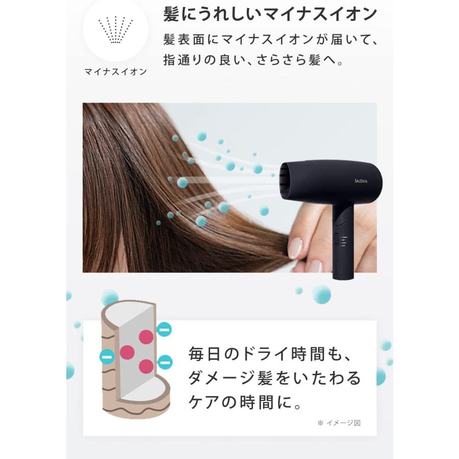SALONIA（サロニア） スピーディーイオンドライヤー SL-013GR / グレー