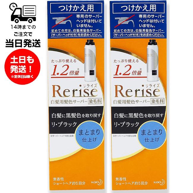リライズ （2個セット）Rerise 白髪用髪色サーバー つめかえ用