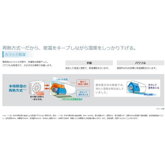 日立（HITACHI） 日立白くまくん10畳用エアコン RAS-W28R-W(RAS-W28Nの