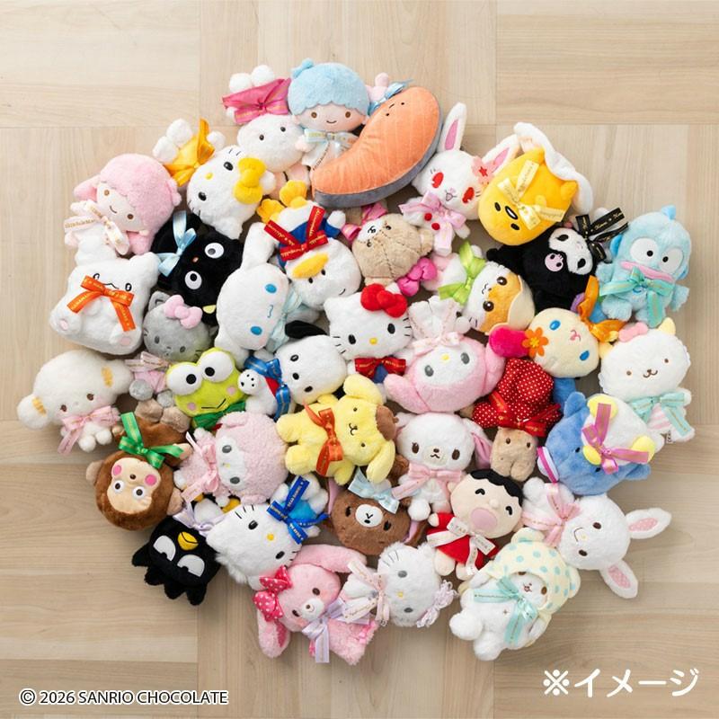 sanrio（サンリオ） タイニーチャム ぬいぐるみ（2026年サンリオ