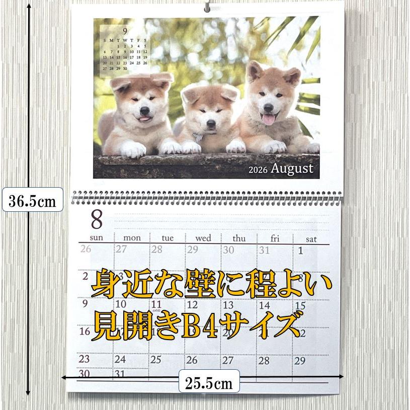 子犬 壁掛けカレンダー カレンダー 2026年 可愛い 犬 の B4