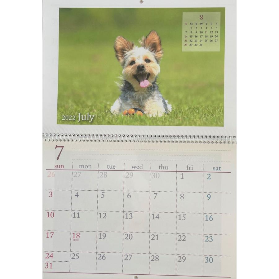カレンダー 21年 可愛い 犬 の カレンダー B4 壁掛けカレンダー 送料無料 Sa499y93 バラエティーショップ燦燦屋 通販 Yahoo ショッピング