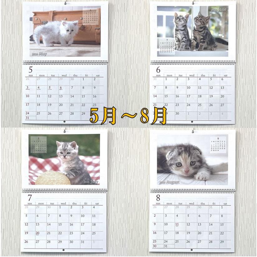 ネコ 壁掛けカレンダー カレンダー 2026年 可愛い 猫 の B4