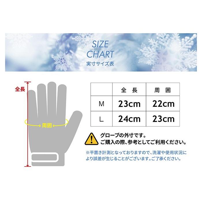 Tess Terrier テステリア 手袋 スキー手袋 レディース 女性 婦人 スキー 防寒 グローブ スケート 雪 スノーボード Tts 116 S Style 通販 Yahoo ショッピング