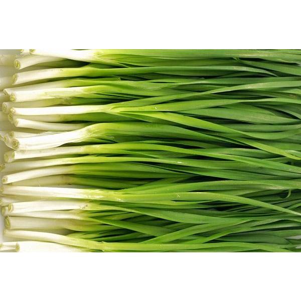 葉にんにく（蒜叶 ）  100g 中国産 |  | 01