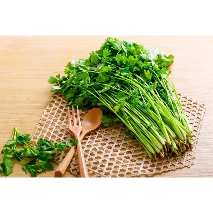 【冷蔵便】香菜/パクチー/千葉県産/約5kg入/業務用 Amazon.co.jp: 【朝市場直行】千葉県ほか コリアンダー パクチー