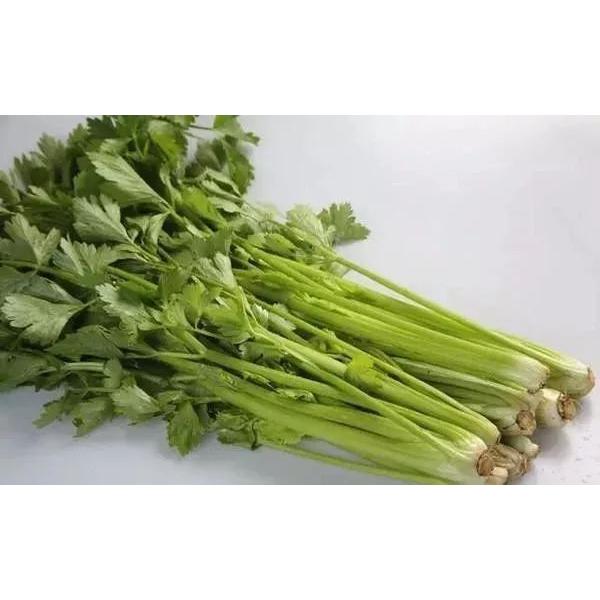 セロリ　中国芹菜　キンサイ 100g |  | 01