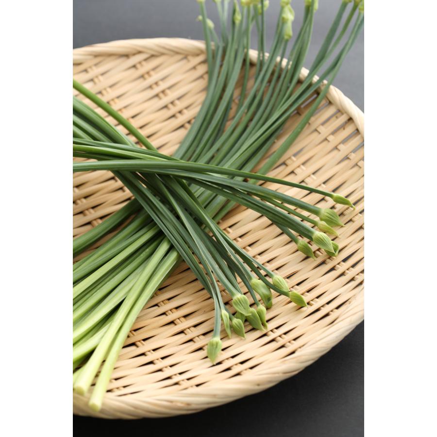 花ニラ　花韮　　100g　１束　はなにら　ハナニラ |  | 01