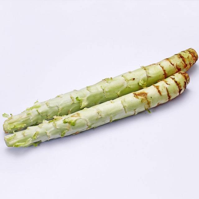 チシャト　約400g　ちしゃと　新鮮野菜　中国産 |  | 01