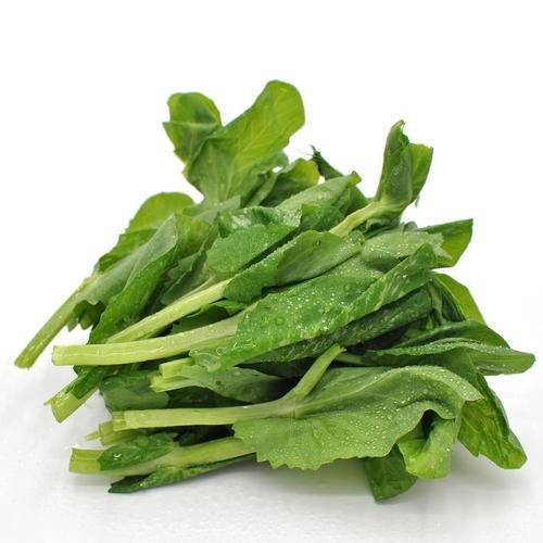 とうみょう　台湾産高山豆苗　200ｇ/袋 |  | 01