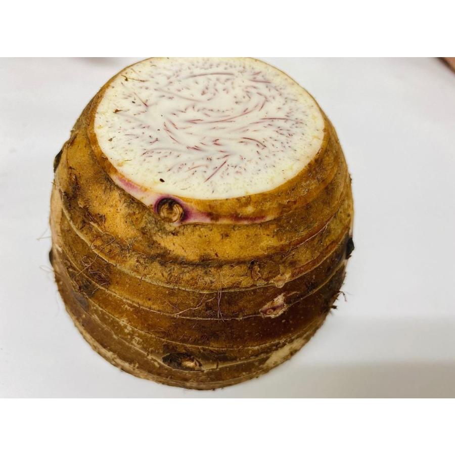 たろいも 台湾産タロイモ 800g前後/個 たろいも 野菜 : おいしい食品館 - 通販