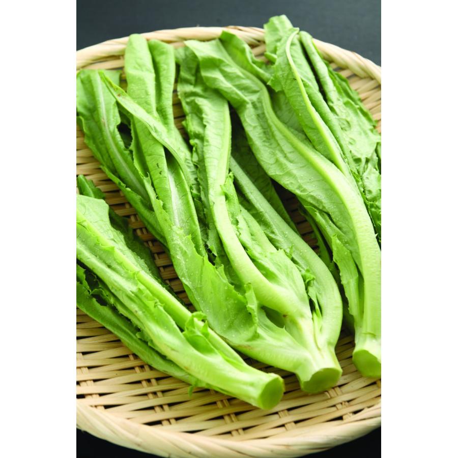A菜　油麦菜 100g　新鮮野菜　中国産 | 