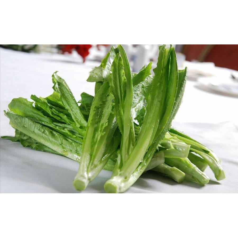 A菜　油麦菜 100g　新鮮野菜　中国産 |  | 02