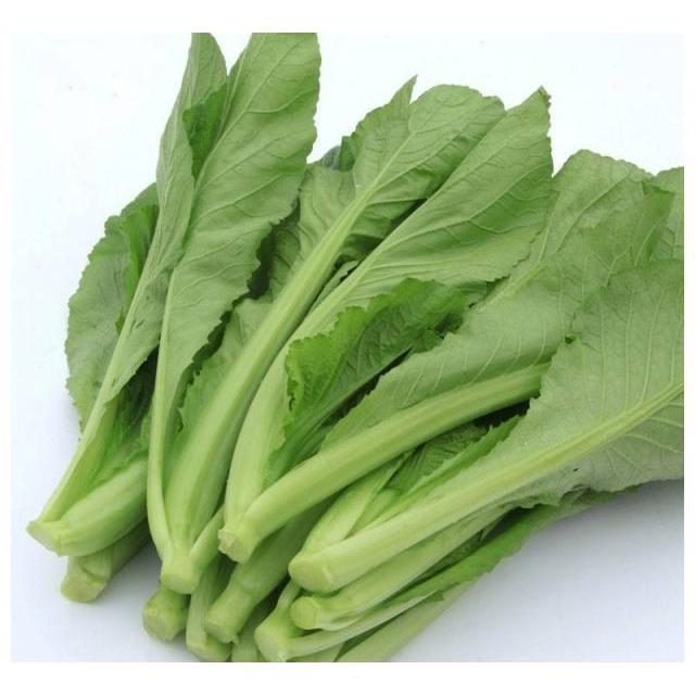 広東芥菜　カイサイ　100g　新鮮野菜　かいさい | 