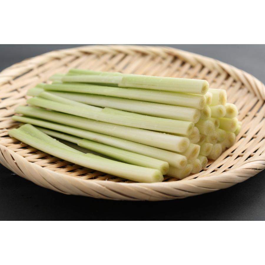 碧玉筍 100g ヘキギョクチク   台湾産 | 