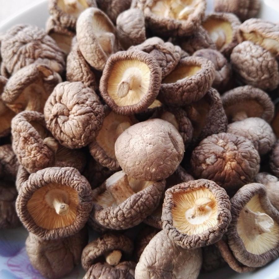 干し椎茸 1k/p |  | 03