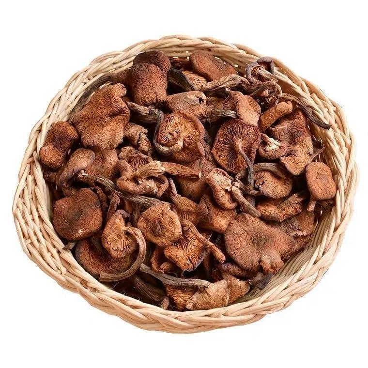 乾燥 ナラタケ 100g  中国産 なら茸 | 